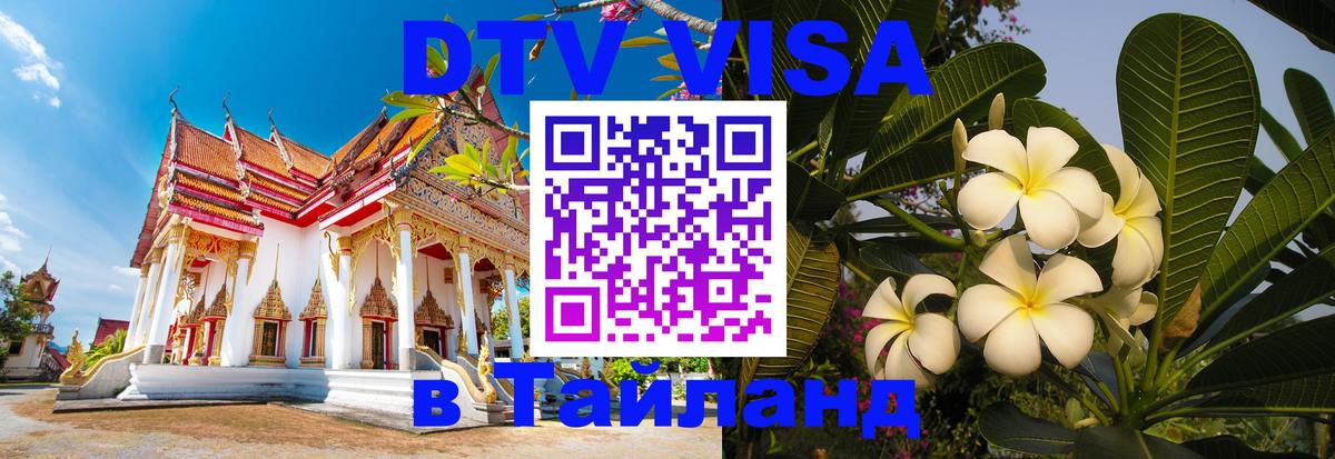 Сколько стоит DTV виза — актуальные цены, оформление даже без документов - Махачкала  18.11.2025 